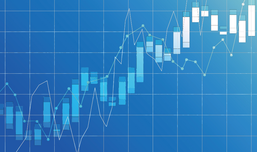 海外マーケットにおける実績